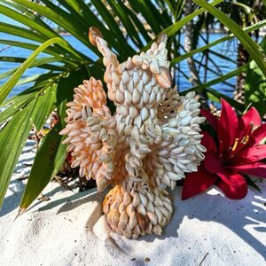 Folk Art Cowrie Puka Shell Vase South Pacific Vintage Hand Crafted 11 Inch Tall